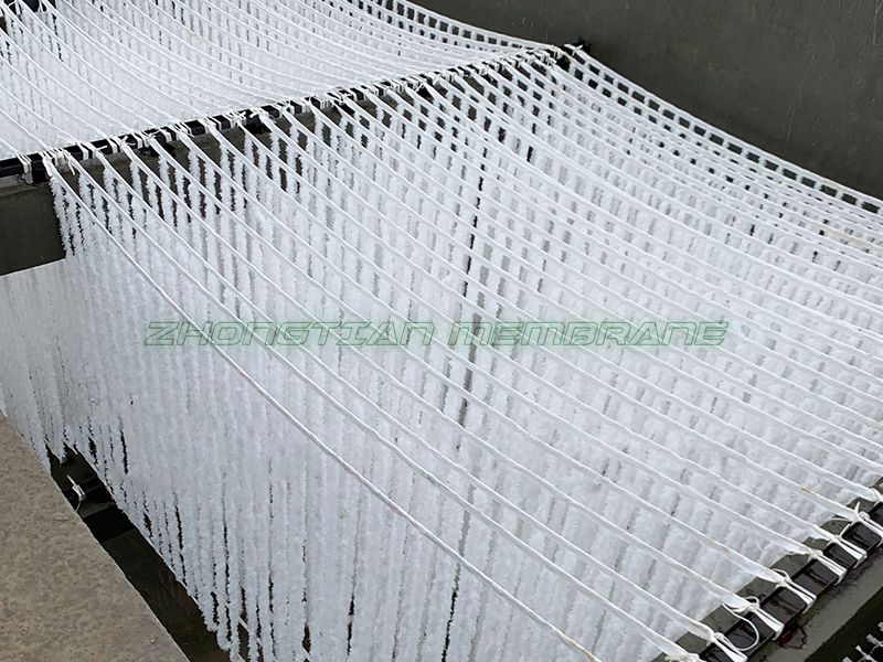 辨式生物填料现场（三）